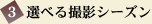 選べる撮影シーズン