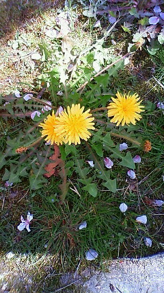 201104061126000.jpg